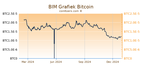 BIM Grafiek 1 Jaar