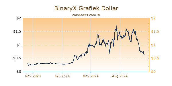 BinaryX Grafiek 1 Jaar