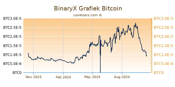 BinaryX Grafiek 1 Jaar