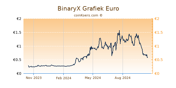 BinaryX Grafiek 1 Jaar