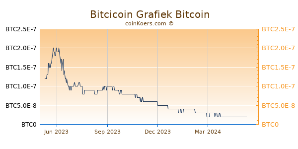Bitcicoin Grafiek 1 Jaar