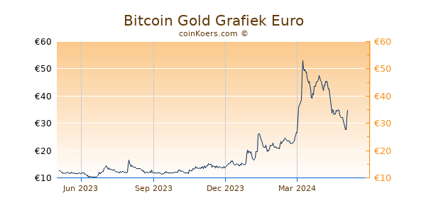 Bitcoin Gold Grafiek 1 Jaar