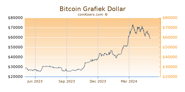 Bitcoin Grafiek 1 Jaar