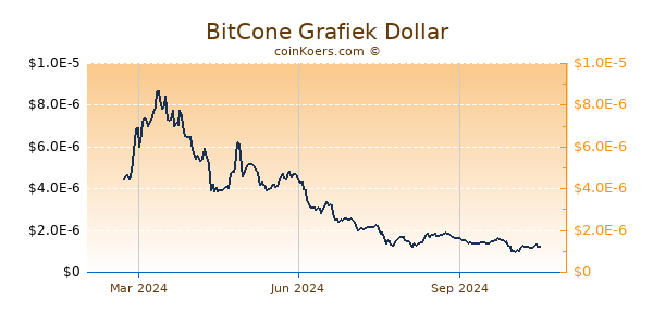 BitCone Grafiek 1 Jaar