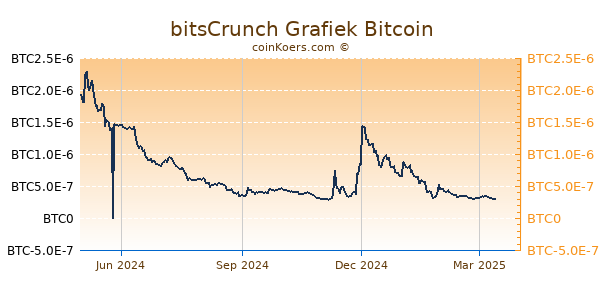 bitsCrunch Grafiek 1 Jaar