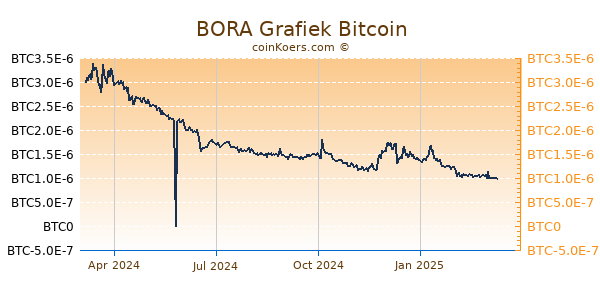 BORA Grafiek 1 Jaar