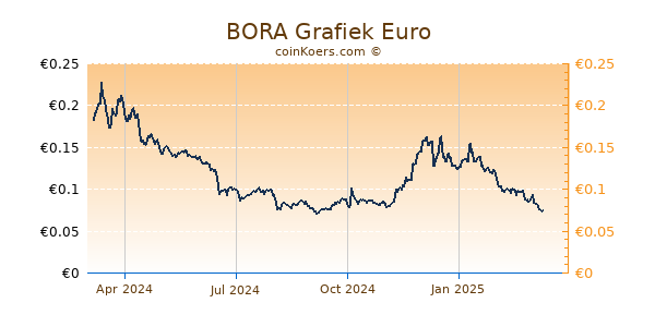 BORA Grafiek 1 Jaar