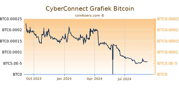 CyberConnect Grafiek 1 Jaar