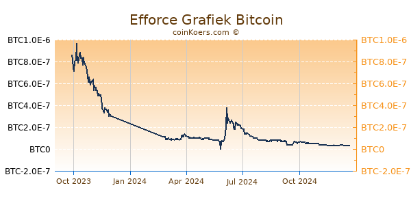 Efforce Grafiek 1 Jaar