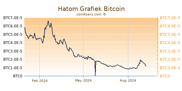 Hatom Grafiek 1 Jaar