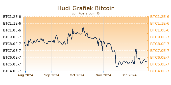 Hudi Grafiek 1 Jaar