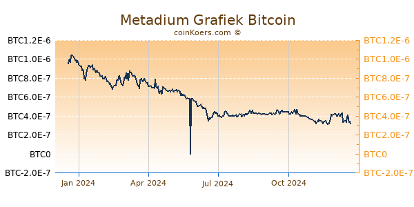 Metadium Grafiek 1 Jaar