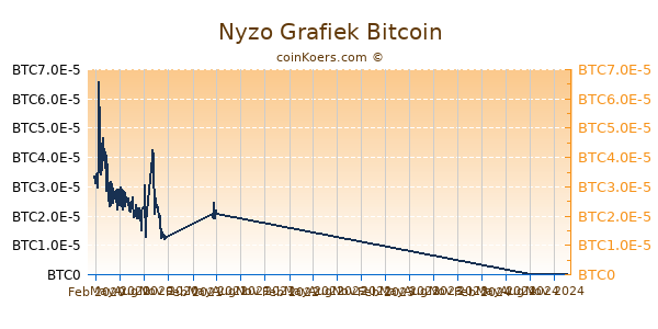 Nyzo Grafiek 1 Jaar