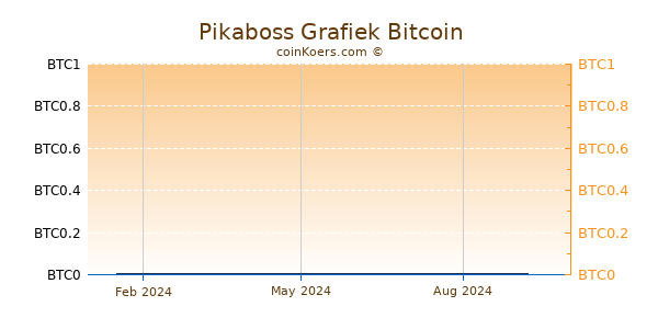 Pikaboss Grafiek 1 Jaar