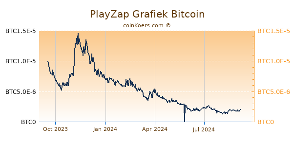 PlayZap Grafiek 1 Jaar