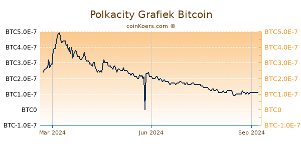 Polkacity Grafiek 1 Jaar