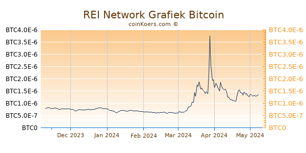 REI Network Grafiek 6 Maanden