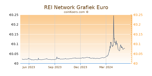 REI Network Grafiek 1 Jaar