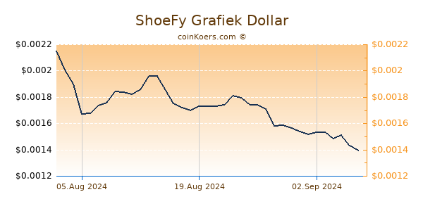 ShoeFy Grafiek 1 Jaar