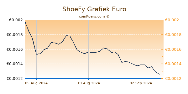 ShoeFy Grafiek 1 Jaar