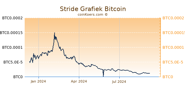 Stride Grafiek 1 Jaar