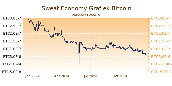 Sweat Economy Grafiek 1 Jaar