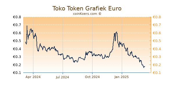 Toko Token Grafiek 1 Jaar