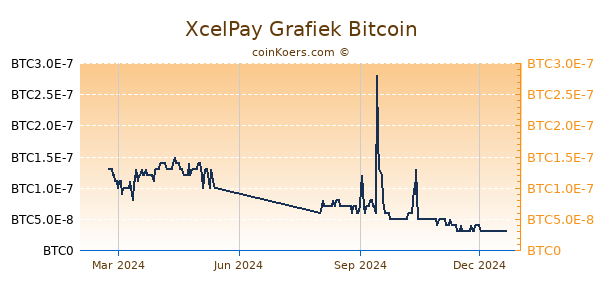 XcelPay Grafiek 1 Jaar