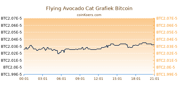 Flying Avocado Cat Grafiek Vandaag